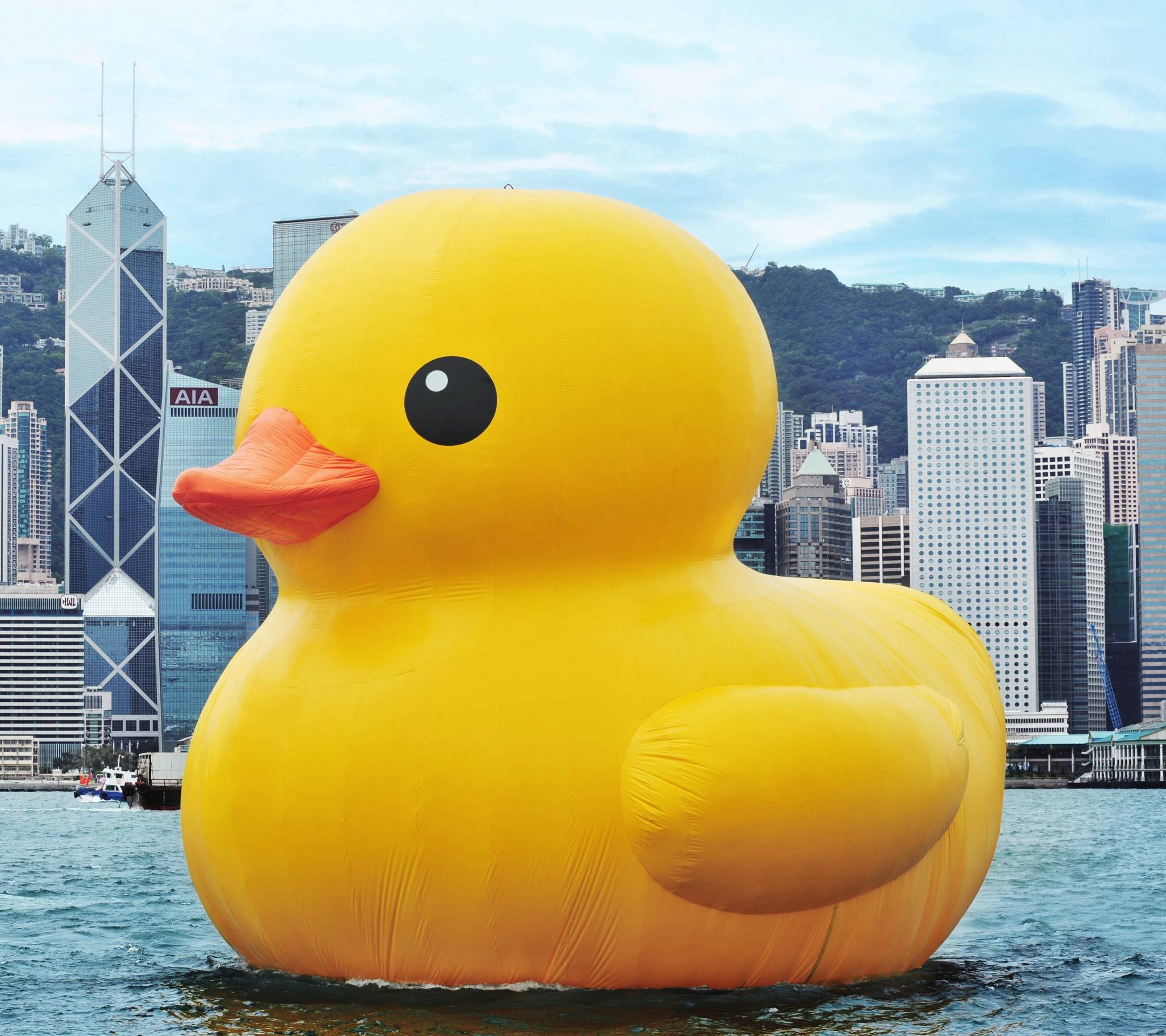 Big Yellow Duck logs on to Aptos: a digital turnaround for a cultural symbol